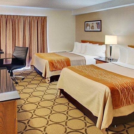 Comfort Inn Edmundston Εξωτερικό φωτογραφία