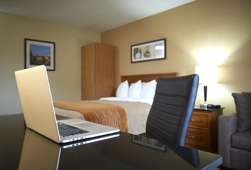 Comfort Inn Edmundston Εξωτερικό φωτογραφία