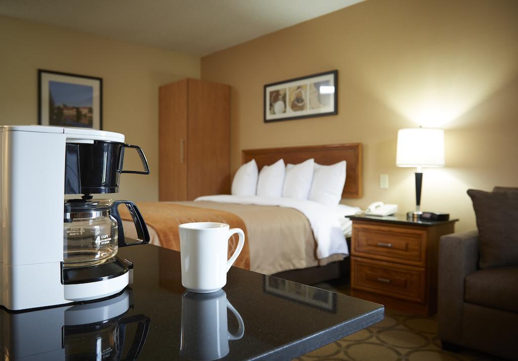 Comfort Inn Edmundston Εξωτερικό φωτογραφία